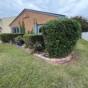 Bush Trimming by Opulent landscaping llc reviewed on July 18, 2026
