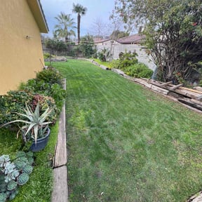 lawn care by Parker Landscape &amp; Maintenance reviewed on February 8, 2024