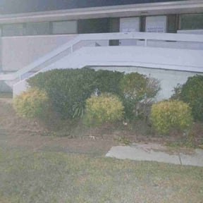 Bush Trimming by Cardinal Curb Appeal reviewed on November 10, 2025