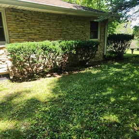 Bush Trimming by Bennett Family Cuts reviewed on August 14, 2025