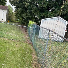Leaf Removal by Vision Lawn Care reviewed on May 24, 2026