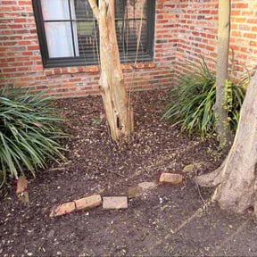 Leaf Removal by Shaggy cuts,INC reviewed on January 28, 2026