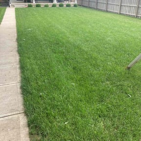 landscaping by Trappery reviewed on August 31, 2023