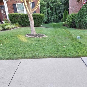 turf maintenance by ETC Services reviewed on August 19, 2025