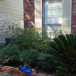 Bush Trimming by Ategramax reviewed on December 31, 2025