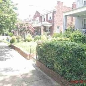 Bush Trimming by Florida's Finest Property Maintenance reviewed on August 16, 2025
