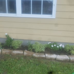 Flower Bed Weeding by TRW Contracting Services reviewed on August 17, 2025