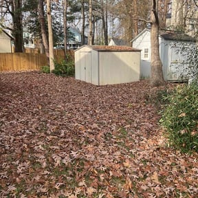 Leaf Removal by Miramontes Landscaping reviewed on November 27, 2025