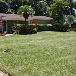 Bush Trimming by RTH Lawn Service & Landscaping LLC reviewed on August 20, 2025