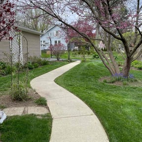 turf care by SP Landscaping reviewed on September 11, 2024