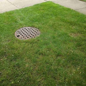 Leaf Removal by R&amp;Alawncare reviewed on July 18, 2026