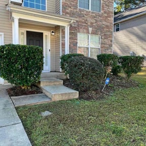 Bush Trimming by ChevysLandScaping reviewed on December 19, 2025