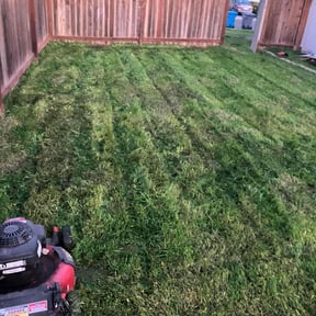 lawn care by Service Squad L.L.C. reviewed on May 4, 2025