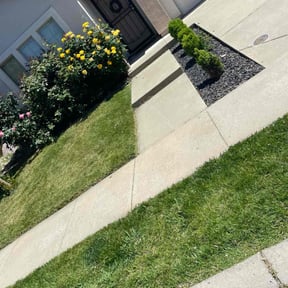 yard maintenance by Foresight Landscape Maintenance and Design reviewed on August 19, 2025