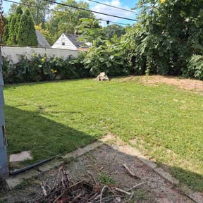 Bush Trimming by Bey Elite landscaping reviewed on September 15, 2026