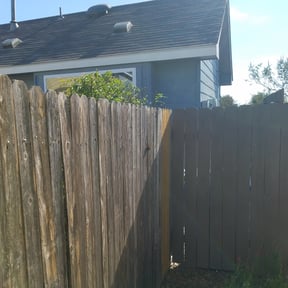 Bush Trimming by QA'd Residential Services reviewed on August 20, 2025
