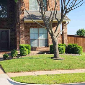 yard work by Green Day Lawn Service reviewed on November 22, 2025