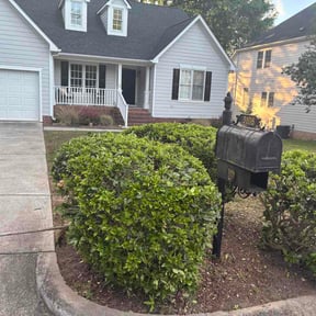 Bush Trimming by Bay Land &amp; Trees Llc. reviewed on June 10, 2026