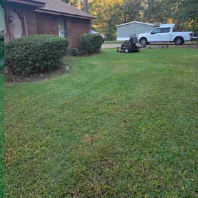 Bush Trimming by A1 Landscape reviewed on November 21, 2025