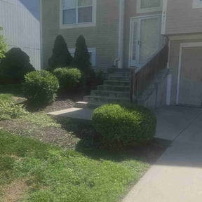 Bush Trimming by Superior Landscape & Maintenance, Inc. reviewed on August 16, 2025