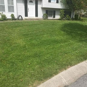landscaping by Fast Pace LLC reviewed on August 19, 2025