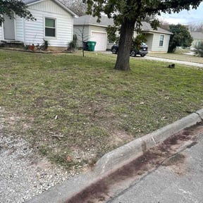 Leaf Removal by Eagles Outdoor Services reviewed on December 11, 2025