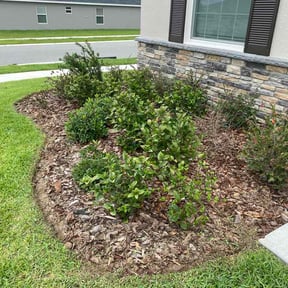 Flower Bed Weeding by Alex Grass reviewed on June 4, 2026