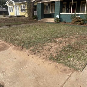 Leaf Removal by Squared Away Lawn Care reviewed on December 3, 2025