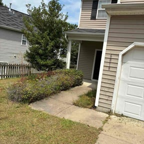 Bush Trimming by Simkins Home Revival reviewed on November 5, 2025