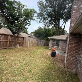 Leaf Removal by Cat's Landscaping reviewed on July 2, 2026