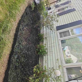 Flower Bed Weeding by TruGreen LawnCare reviewed on June 4, 2026