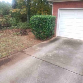 Bush Trimming by Catalina's Lawn Care reviewed on November 27, 2025