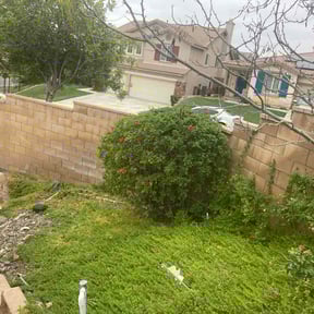 Bush Trimming by Hernandez Landscaping reviewed on March 6, 2026