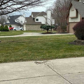 Leaf Removal by Logans Lawn service reviewed on April 19, 2026