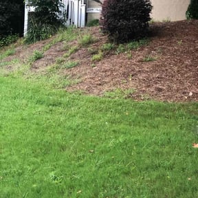 Bush Trimming by Bakers lawn service reviewed on August 16, 2025