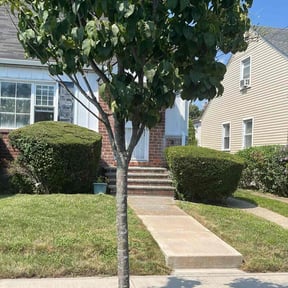 Bush Trimming by Before&AfterLawncare..... Rachael Toles reviewed on August 15, 2025