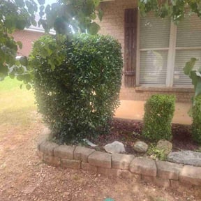 Bush Trimming by Mowin&#039; &amp; Goin&#039; reviewed on November 7, 2025