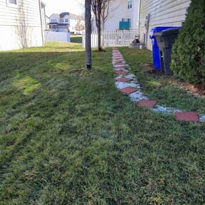 Leaf Removal by D&amp;G Lawn Care/Pressure Washing reviewed on September 29, 2025