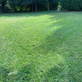 landscaping services by Lawn Barberz reviewed on August 17, 2025