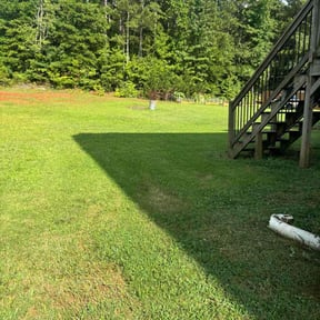 gardening service by Lawn Star Landscape Group reviewed on August 15, 2025