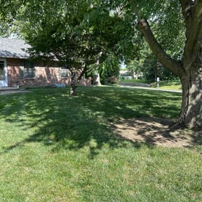 yard maintenance by K&amp;K Green Grass reviewed on December 23, 2025