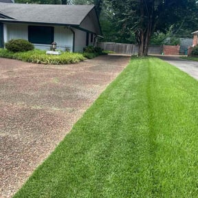 gardening service by B&C Lawn and Landscaping LLC reviewed on August 17, 2025