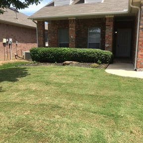 Bush Trimming by Robs lawn care reviewed on August 16, 2025
