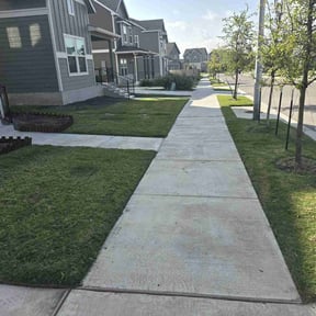 lawn care services by Triple S Cuts & Cleanouts reviewed on June 27, 2025