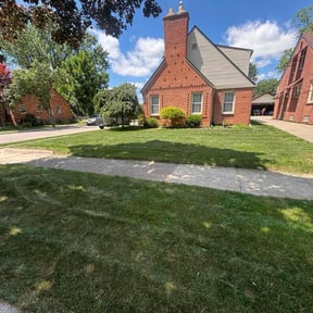 yard maintenance by Roy's Mowing Service reviewed on August 16, 2025