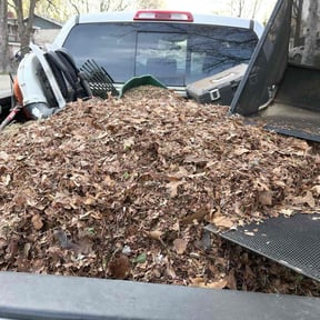 Leaf Removal by Gax lawn care services reviewed on September 11, 2025