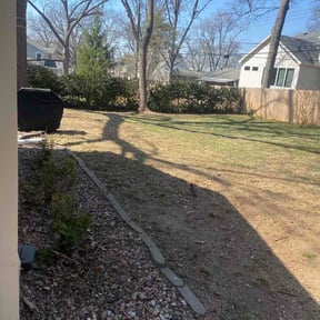 Leaf Removal by Ego reviewed on March 27, 2026
