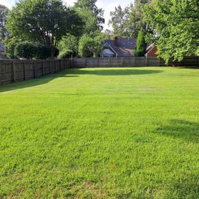 landscaping by Haus Property Management reviewed on August 18, 2025