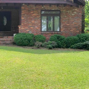 Flower Bed Weeding by Achilles Lawn Care Service reviewed on July 11, 2026