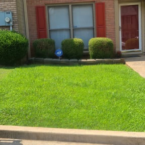 Bush Trimming by GREEN GUYS LAWN CARE reviewed on March 14, 2024